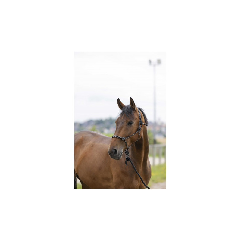 Licol éthologique + longe NORTON - Eco