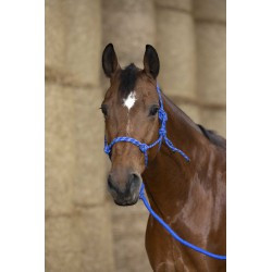 Licol éthologique + longe NORTON - Eco