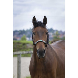 Licol éthologique NORTON - Pearl