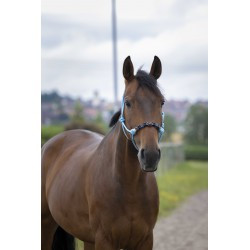 Licol éthologique NORTON - Pearl