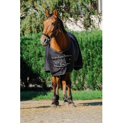 Chemise brillante RIDING WORLD