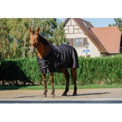 Chemise brillante RIDING WORLD