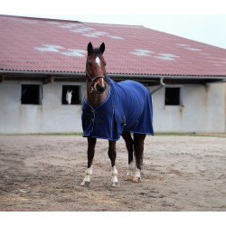 Chemise polaire EQUITHÈME - Classic