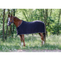 Chemise polaire RIDING WORLD - Basique