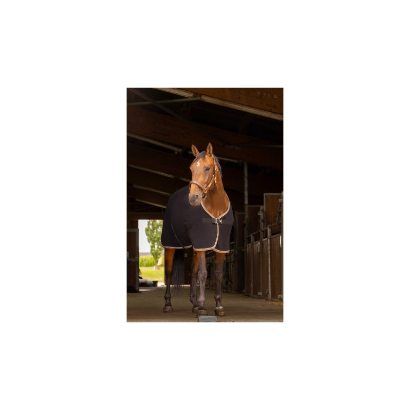 Chemise polaire EQUITHÈME - Polyfun