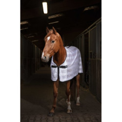 Chemise RIDING WORLD - Mesh
