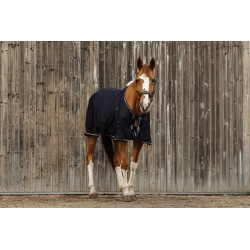 Chemise EQUITHÈME - Micro mesh