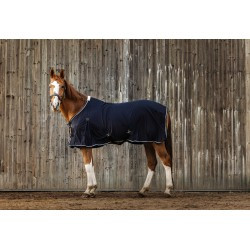 Chemise EQUITHÈME - Micro mesh