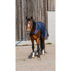Chemise marcheur EQUITHÈME - Classic 1200D