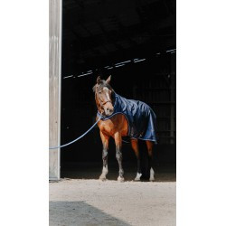 Chemise marcheur EQUITHÈME - Classic 1200D