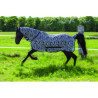 Chemise filet RIDING WORLD - Combo