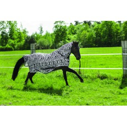 Chemise filet RIDING WORLD - Combo