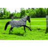 Chemise filet RIDING WORLD - Combo