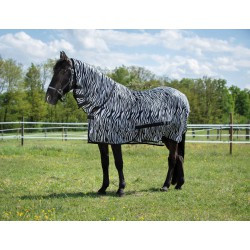 Chemise filet RIDING WORLD - Combo
