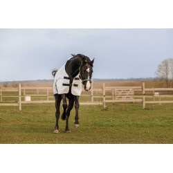 Chemise anti-UV EQUITHÈME - PVC