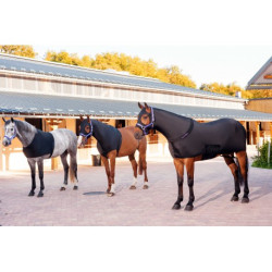 Protection d'épaules EQUITHÈME