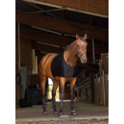 Protection d'épaules EQUITHÈME