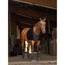 Protection d'épaules EQUITHÈME