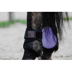 Protège-boulets EQUITHÈME - Tara