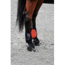 Protège-boulets EQUITHÈME - Tara