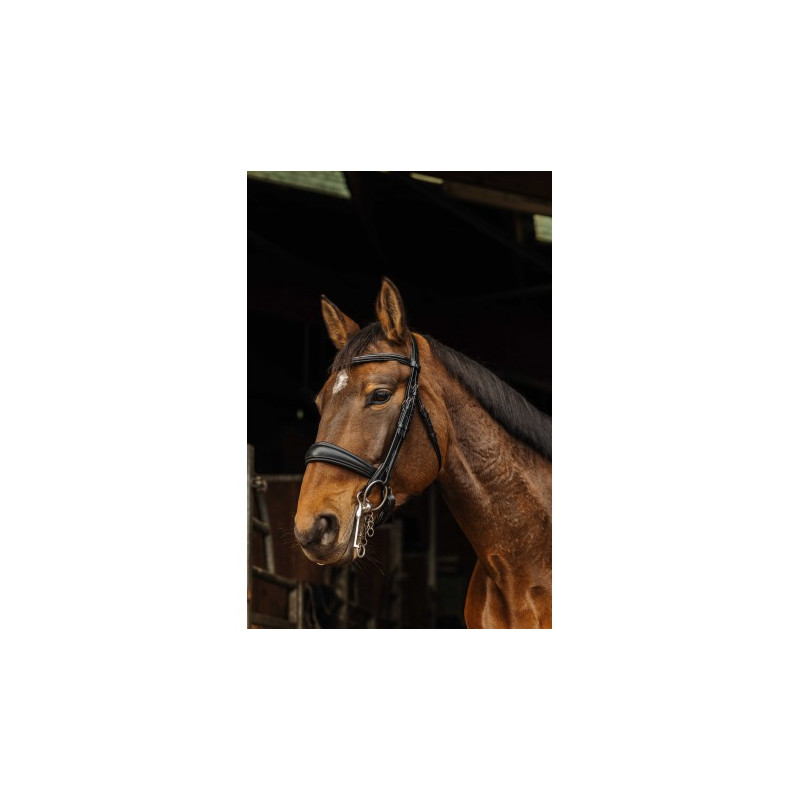 Bride NORTON PRO - Basal