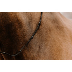 Rênes sangles NORTON CLUB - Oily