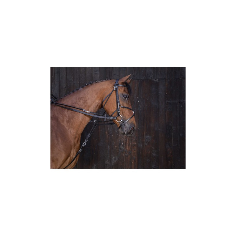 Rênes de gogue cuir RIDING WORLD