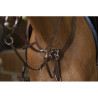Collier de chasse NORTON PRO - Confort