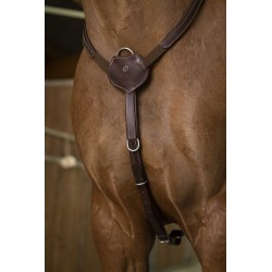 Collier de chasse NORTON PRO - Confort