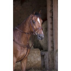 Collier de chasse NORTON PRO - Élastique