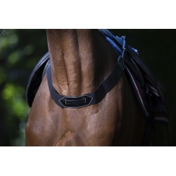 Fausse bricole élastique ERIC THOMAS PRO