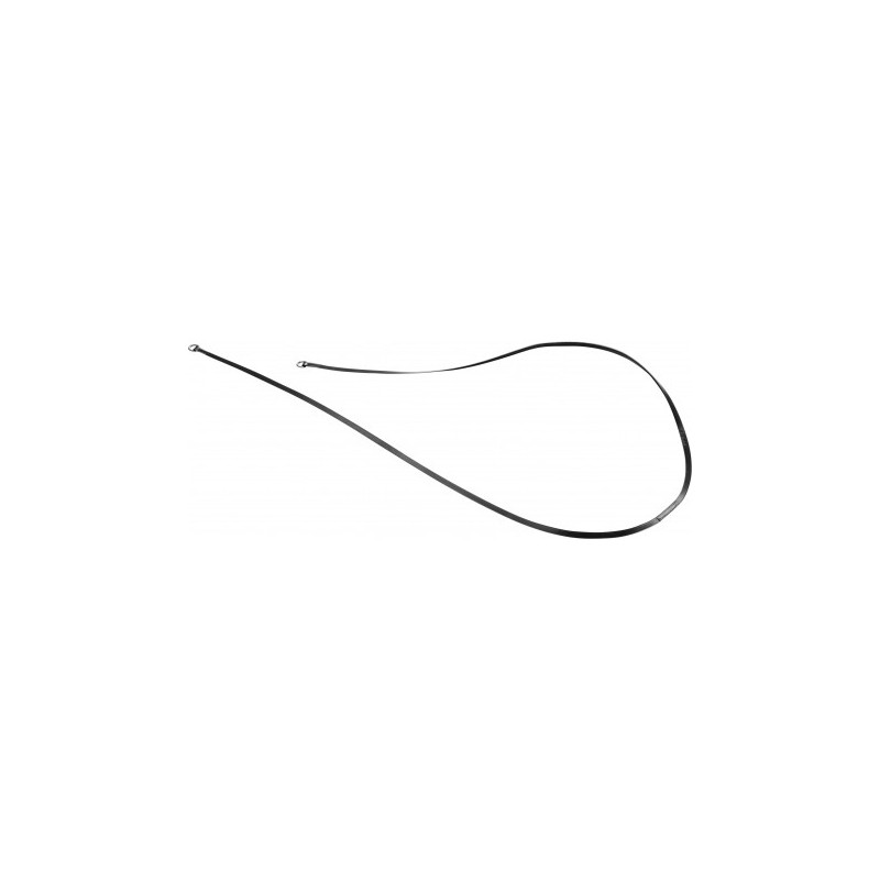 Rênes de gogue ERIC THOMAS PRO