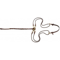 Gogue à poulies ERIC THOMAS PRO