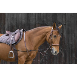 Enrênement éducatif NORTON - Élastique