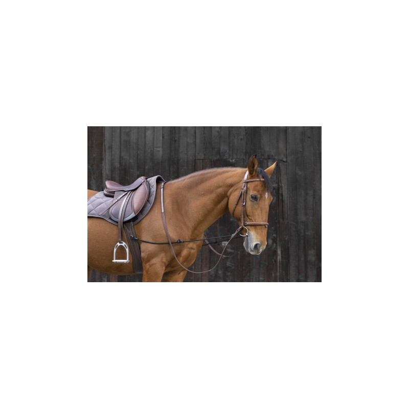 Enrênement éducatif NORTON - Élastique