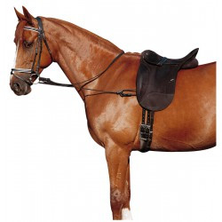 Enrênement éducatif NORTON - Élastique