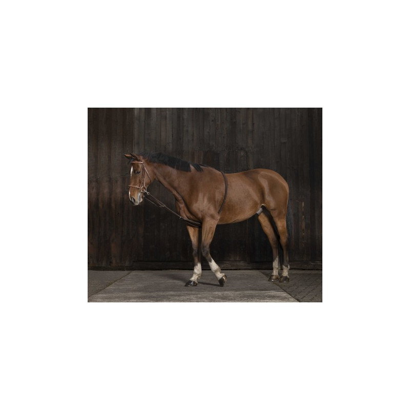 Enrênement NORTON - Extenseur doux