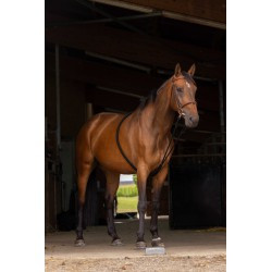 Enrênement NORTON - Extenseur doux