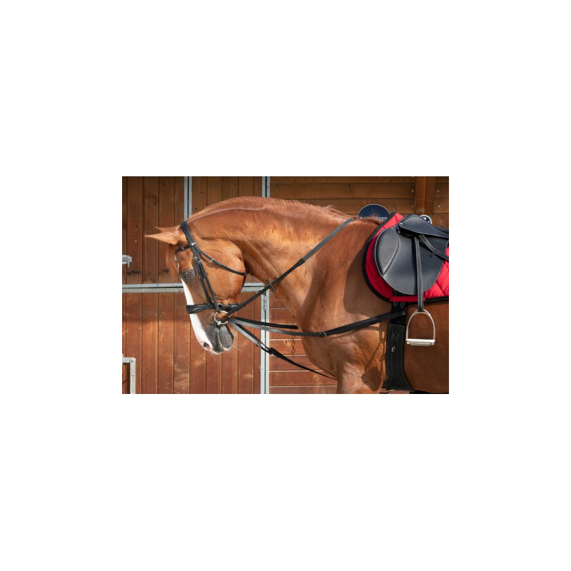 Rênes viennoises NORTON CLUB