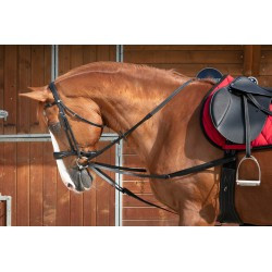 Rênes viennoises NORTON CLUB