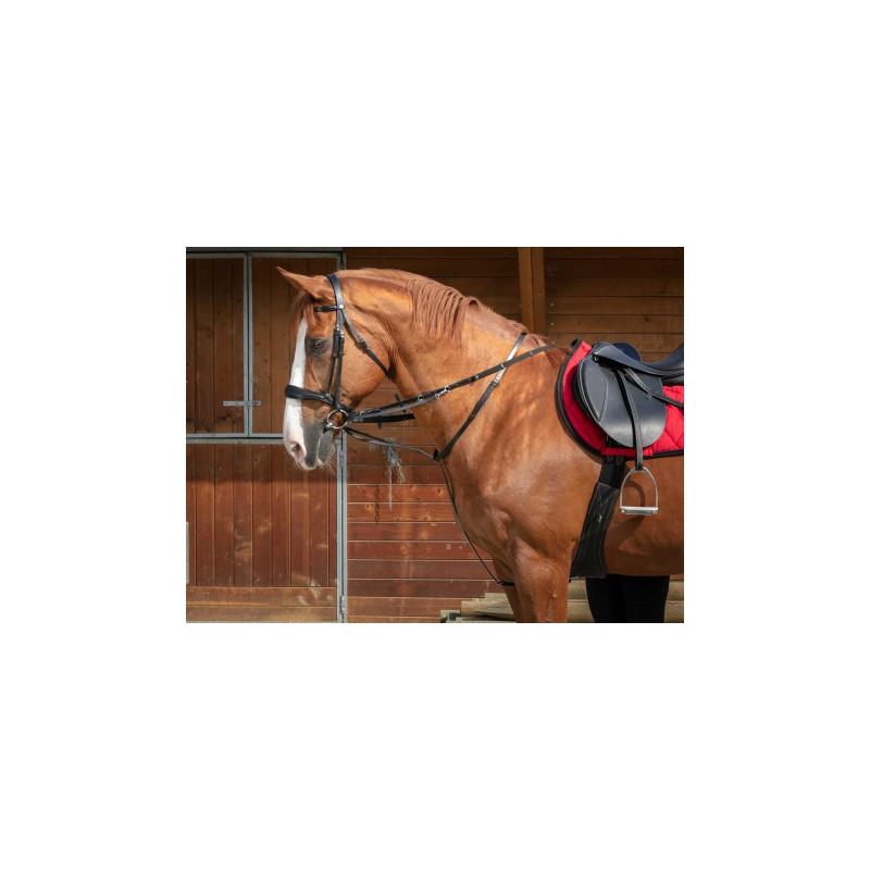 Enrênement NORTON PRO - Thiedeman