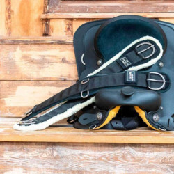 Sangle Western LAMI-CELL - V22