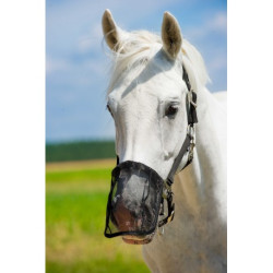 Protège naseaux mesh NORTON anti-mouches