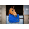 Tapis Origine Classique PADDOCK