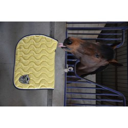 Tapis Origine Classique PADDOCK