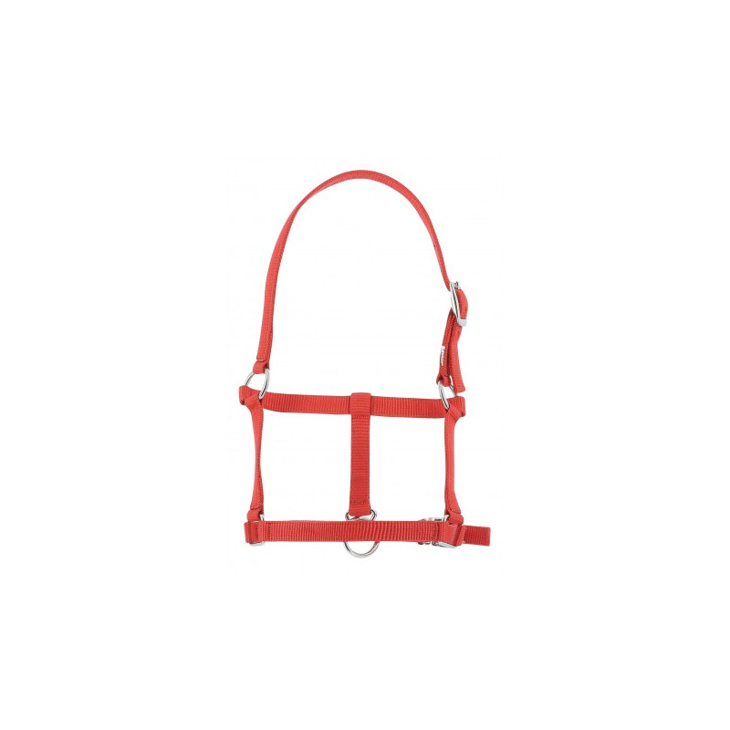 Licol foal RIDING WORLD