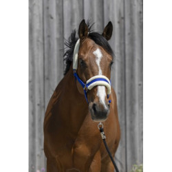 Licol RIDING WORLD mouton synthétique