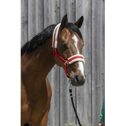 Licol RIDING WORLD mouton synthétique