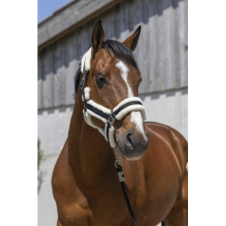 Licol NORTON - Cosy