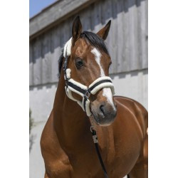 Licol NORTON - Cosy